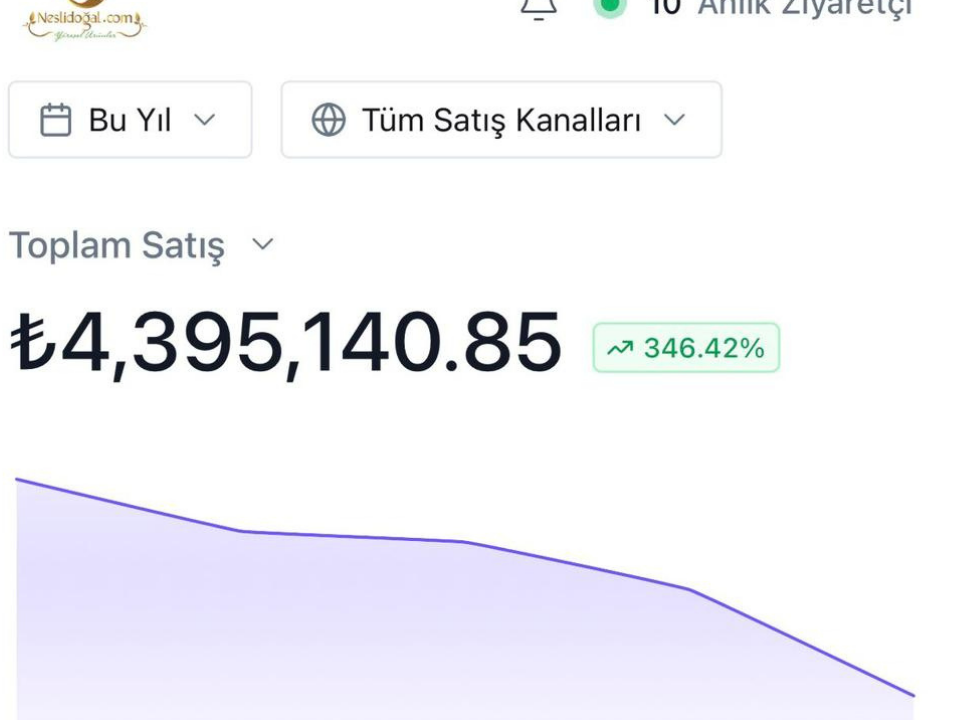 Sonuç 11